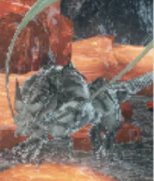 オルト・クァール